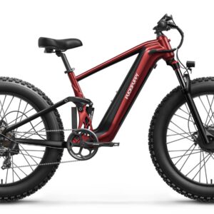 PUCKIPUPPY GoldenR Dual-Motor E-Bike